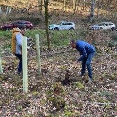 Mit RPR1. „Baum für Baum in die Zukunft“
Pflanzaktion im Limburg-Dürkheimer Wald
Beigeordneter Gerd Ester und Dirk Friedrich