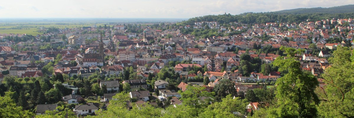 Stadtansicht Panorama Bad Dürkheim