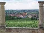 Blick aus dem römischen Weingut Weilberg auf Weinberge und Ungstein