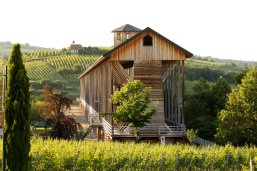 Saline Bad Dürkheim