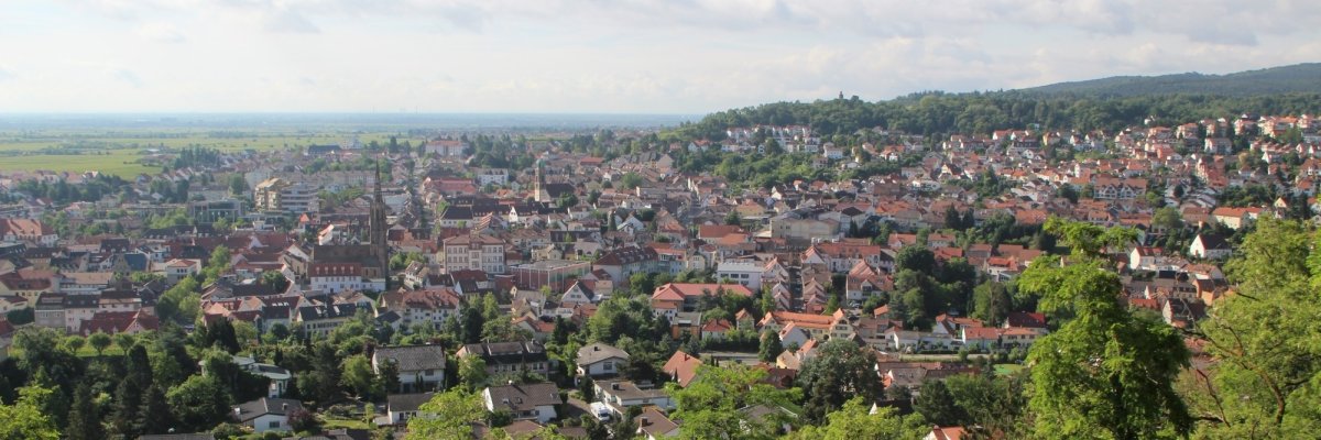Blick auf Bad Dürkheim Panorama Ansicht Bad Dürkheim